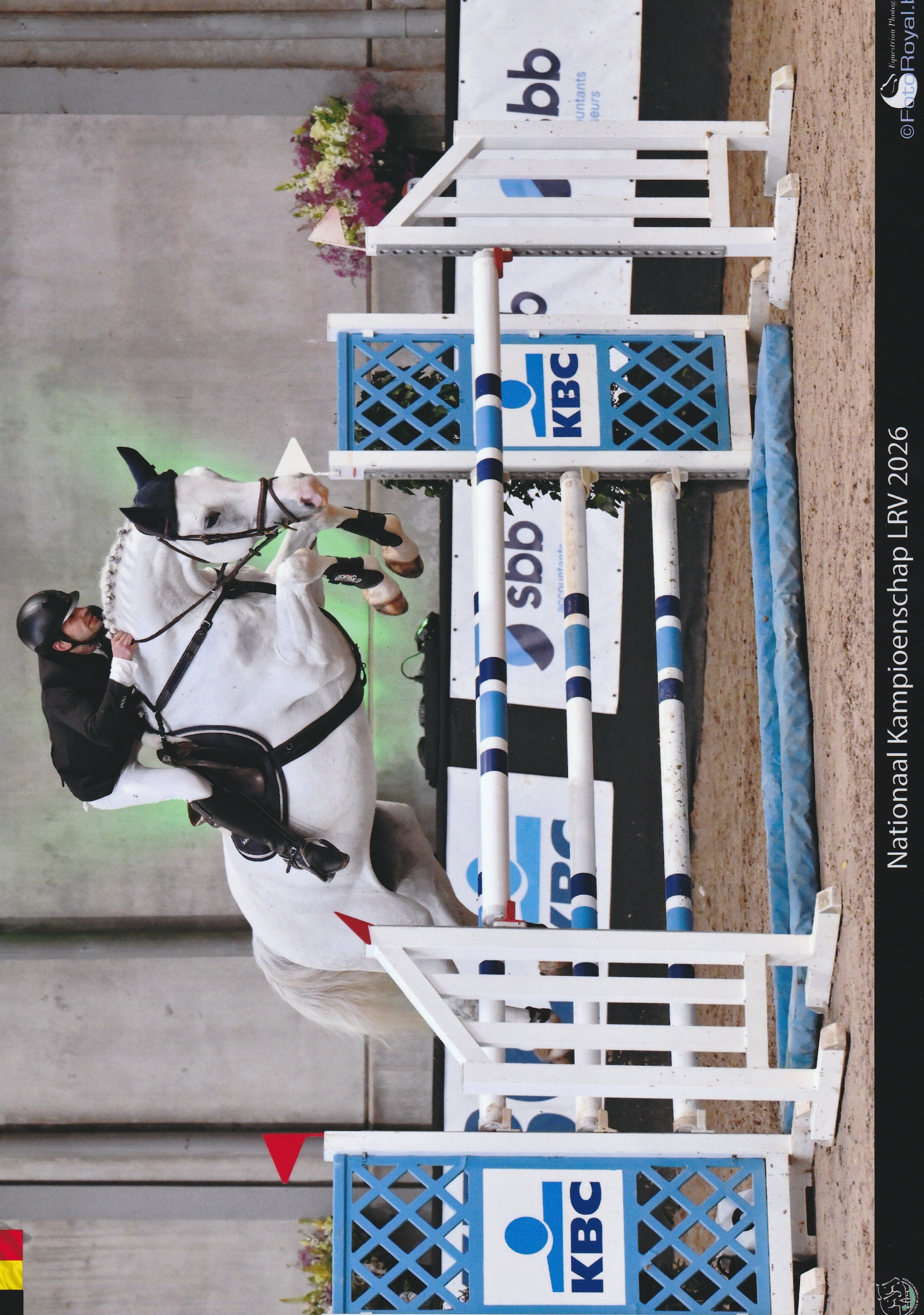 Rolex van Het Eikehof — conformation, jumping and movement photo 2