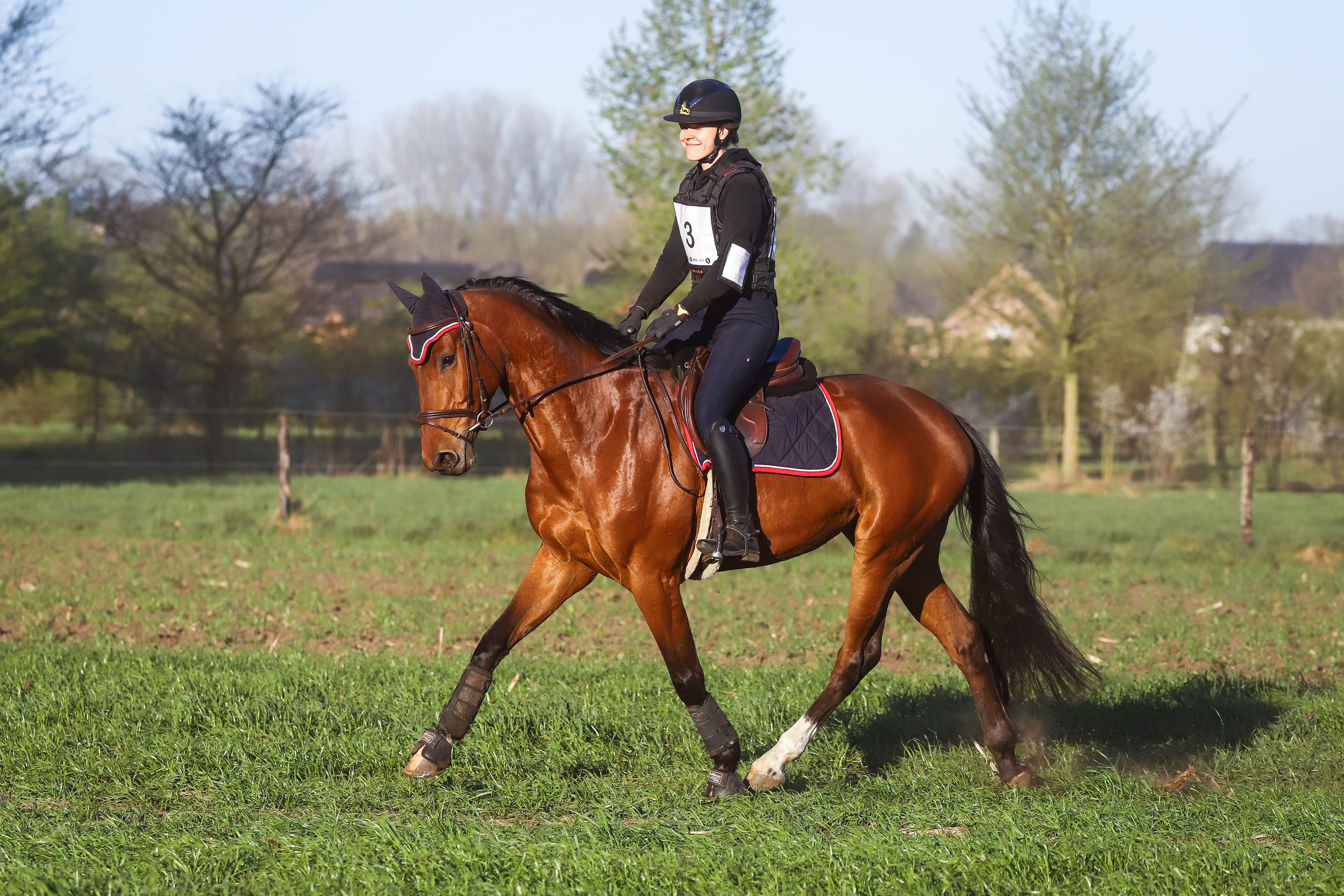 Utopie van het Eikehof — conformation, jumping and movement photo 1