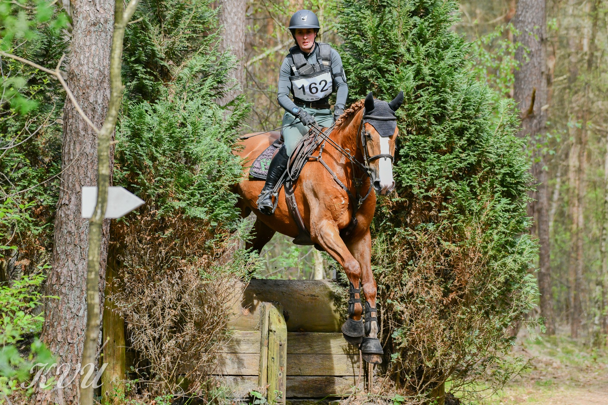 Petit Beurre van het Eikehof Z — photo 1