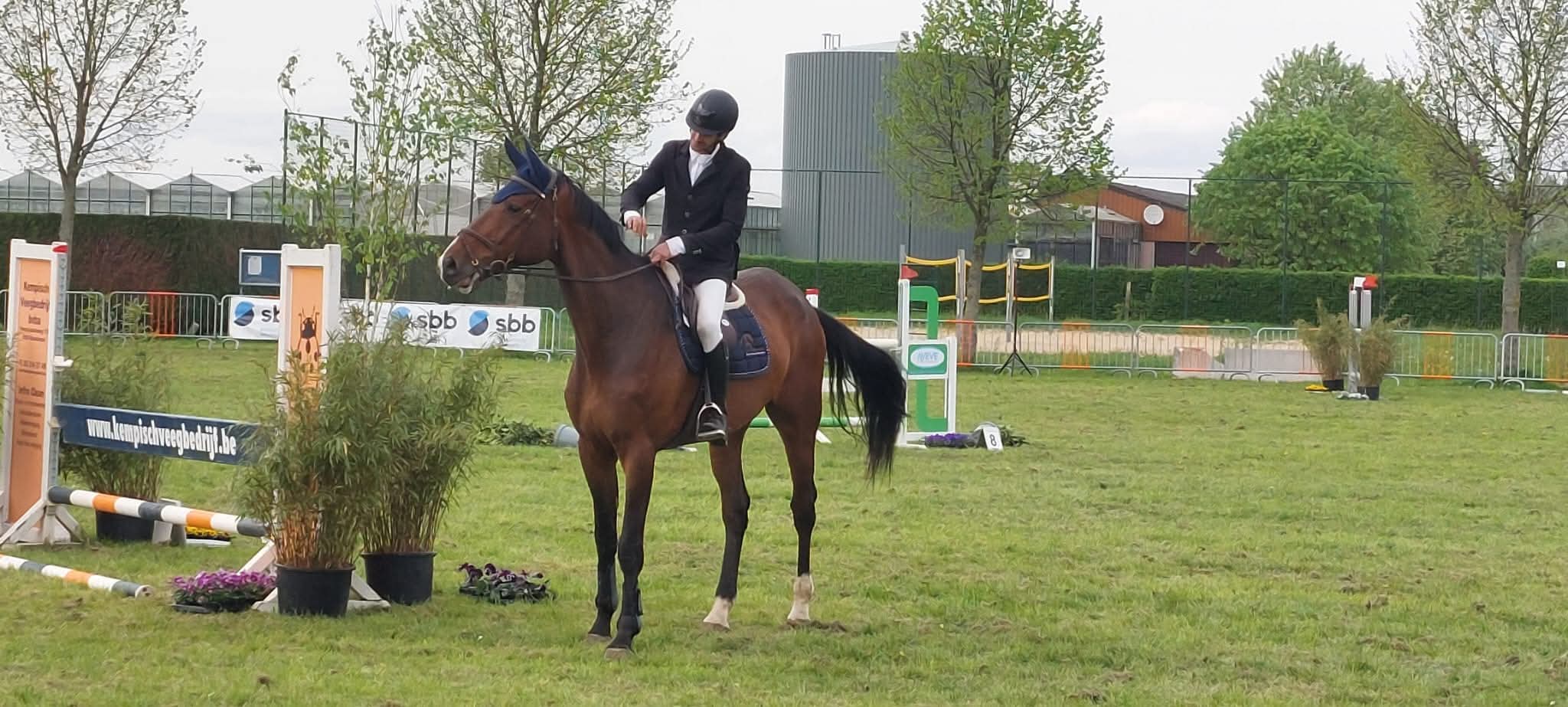 Sjaakie van Het Eikehof — conformation, jumping and movement photo 1
