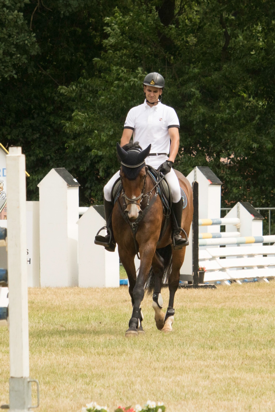 Fabulous van het Eikehof — conformation, jumping and movement photo 1