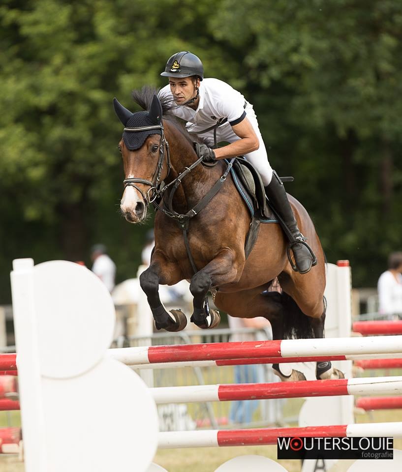 Fabulous van het Eikehof — conformation, jumping and movement photo 2