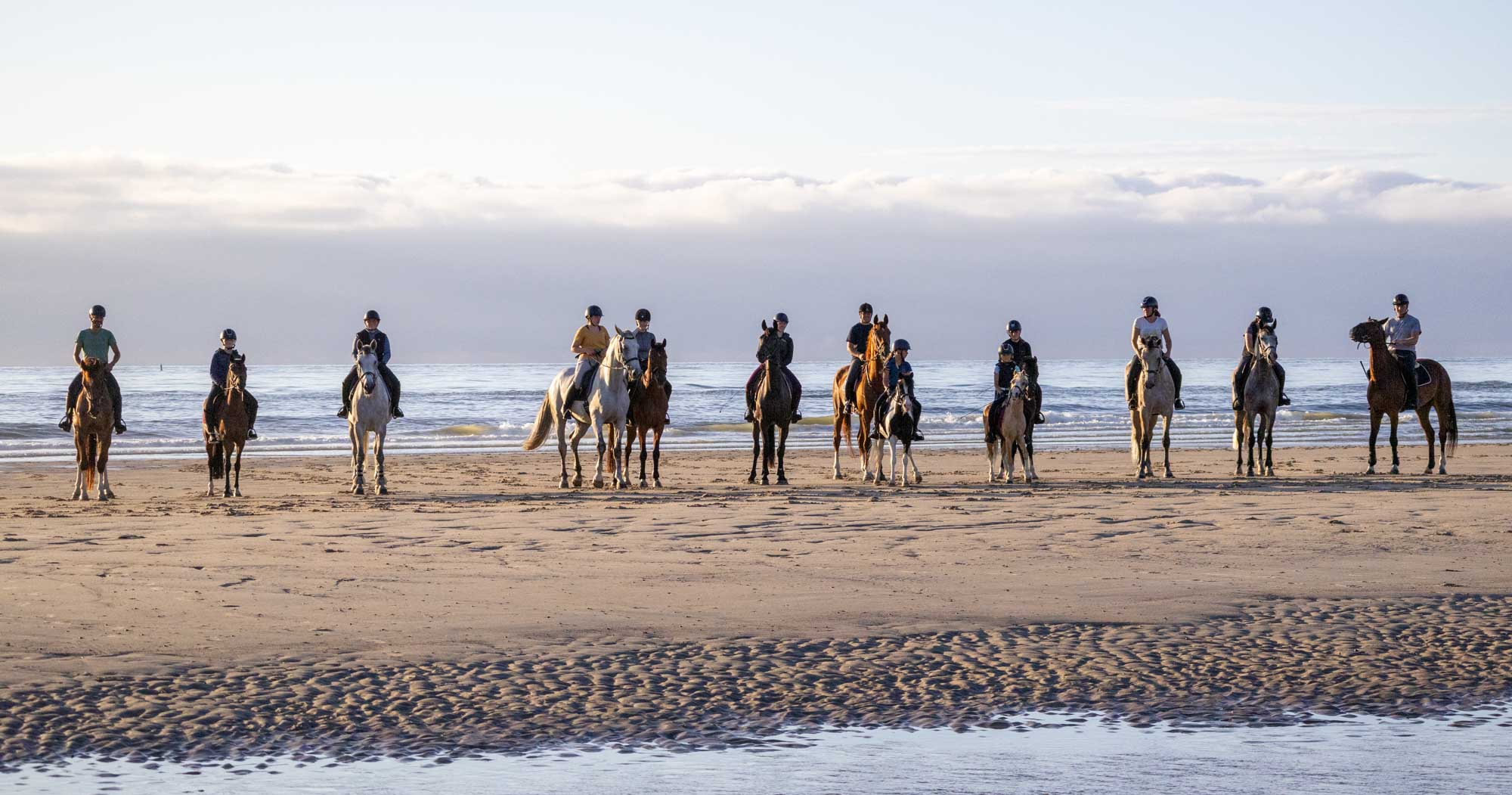 Eikehof Sporthorses paddock in Oostmalle, Belgium